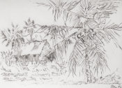 Georg Fritz, No. 060 Hut and Coconut Trees Drawing by Plate